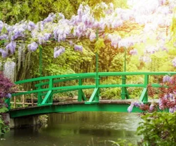 Monet's Garden in Giverny: Half-Day Audio-Guided Tour from Paris